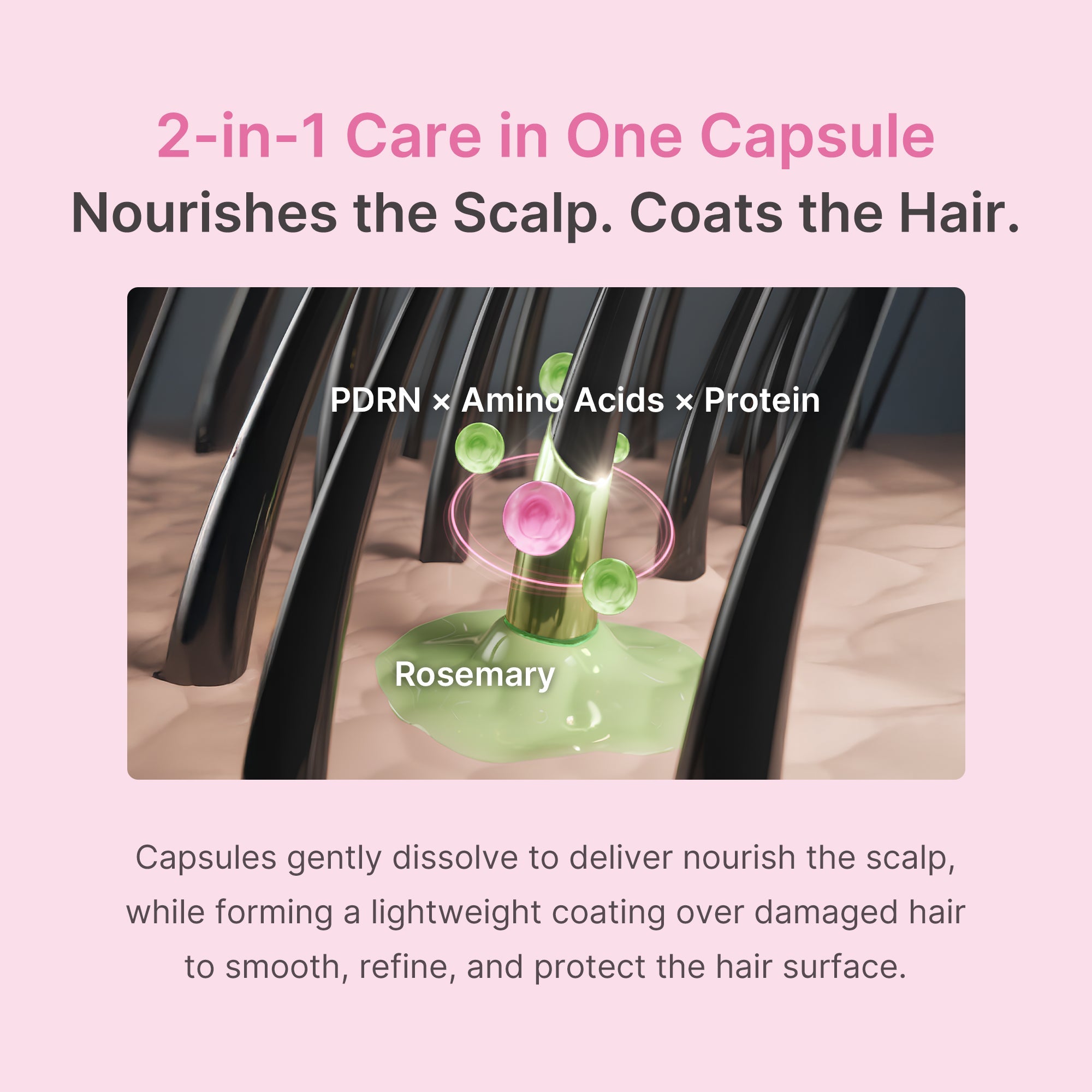 Rosemary PDRN Hair & Scalp Conditioner F5